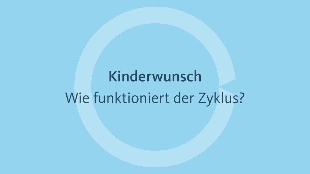 wie funktioniert mein Zyklus